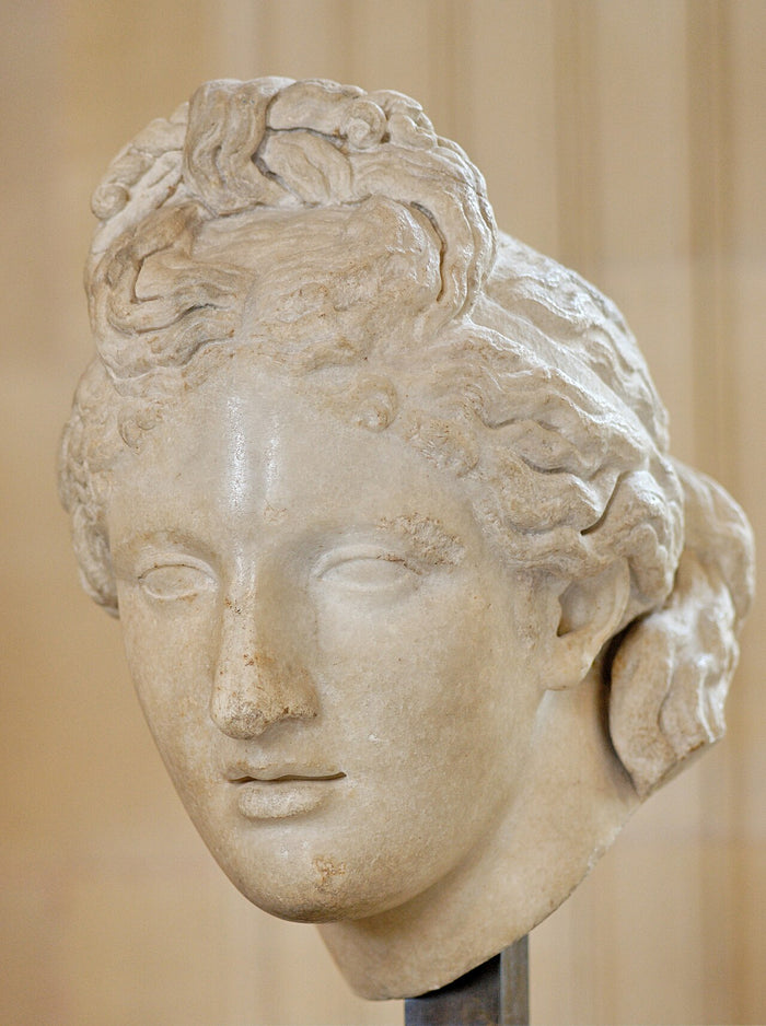 Marble head of the Capitoline Aphrodite type, a Roman copy of a Greek original, showing her idealised face and elaborate knotted hair.
