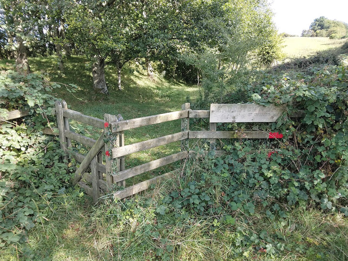 Entrance to Saint Bridgid's Well, Eadestown, Co. Kildare, with red ribbons. Holy wells are long associated with Brigid.