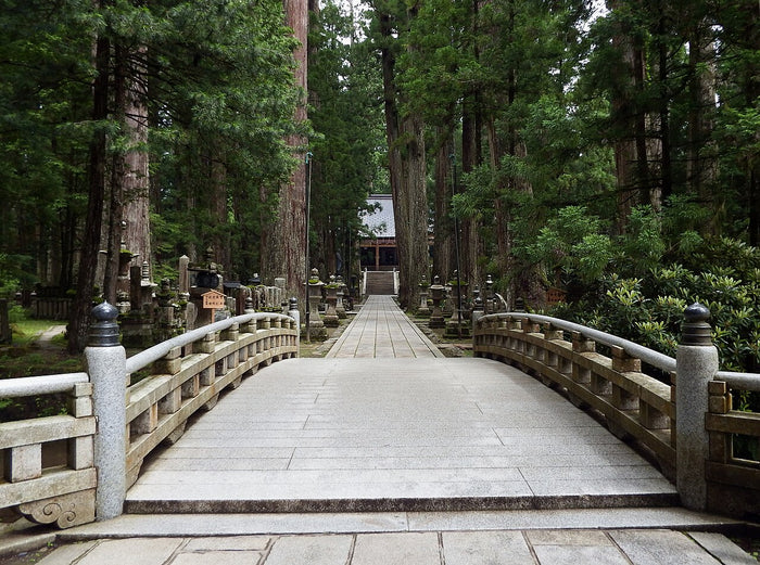 Stone bridge and path through cedars toward a hall at Kōya, the Shingon centre where Kōbō Daishi is venerated.