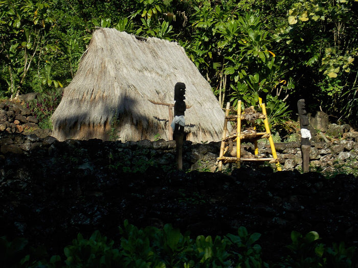 Hale O Lono Heiau, photographed 7 January 2016: a thatched house and carved wooden images within a stone-walled temple enclosure devoted to Lono.