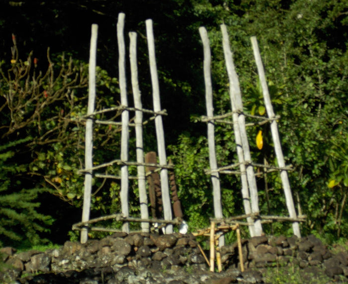 Hale O Lono Heiau, 7 January 2016: lashed wooden poles above a stone wall, part of the temple's ritual setting.