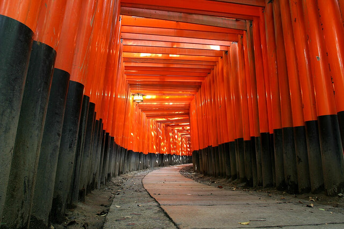 Tunnel of vermilion torii gates at Fushimi Inari Taisha in Kyoto, the head shrine of Inari worship.
