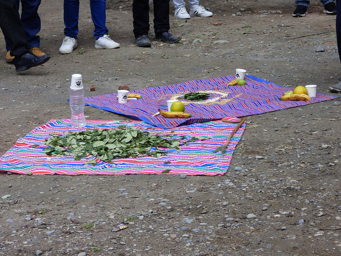 Ritual offering to Pachamama, 2024: coca leaves, fruit and cups laid on woven cloths on the ground.