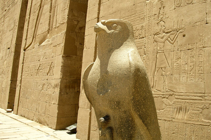 Falcon statue of Horus beside the Edfu temple entrance, with reliefs of a king offering behind.