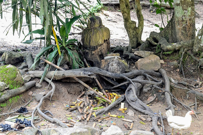 Ogun's shrine at the Sacred Grove of Oshun, 2016, a small stone figure among tree roots with offerings.