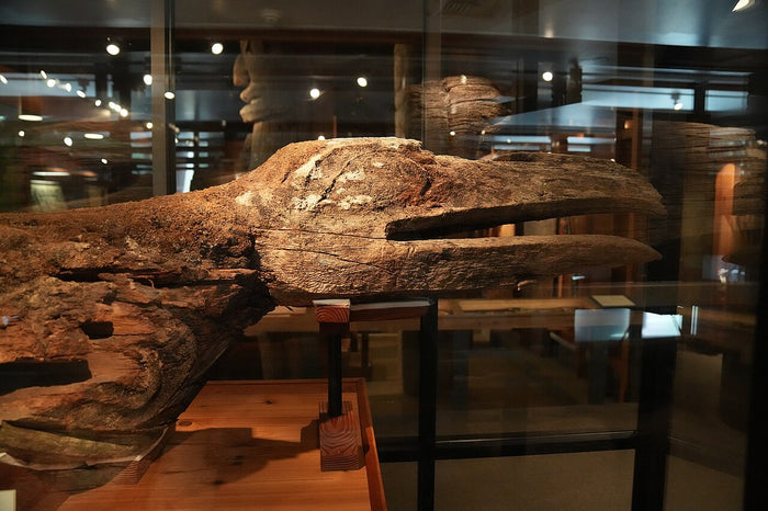 Tlingit raven mortuary pole from Tongass, once linked to the Yeil hit (Raven house); Totem Heritage Center, Ketchikan.