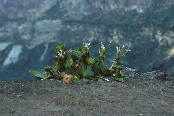 Ti-leaf-wrapped bundles and a woven basket left at the Kilauea crater edge as traditional offerings to Pele.