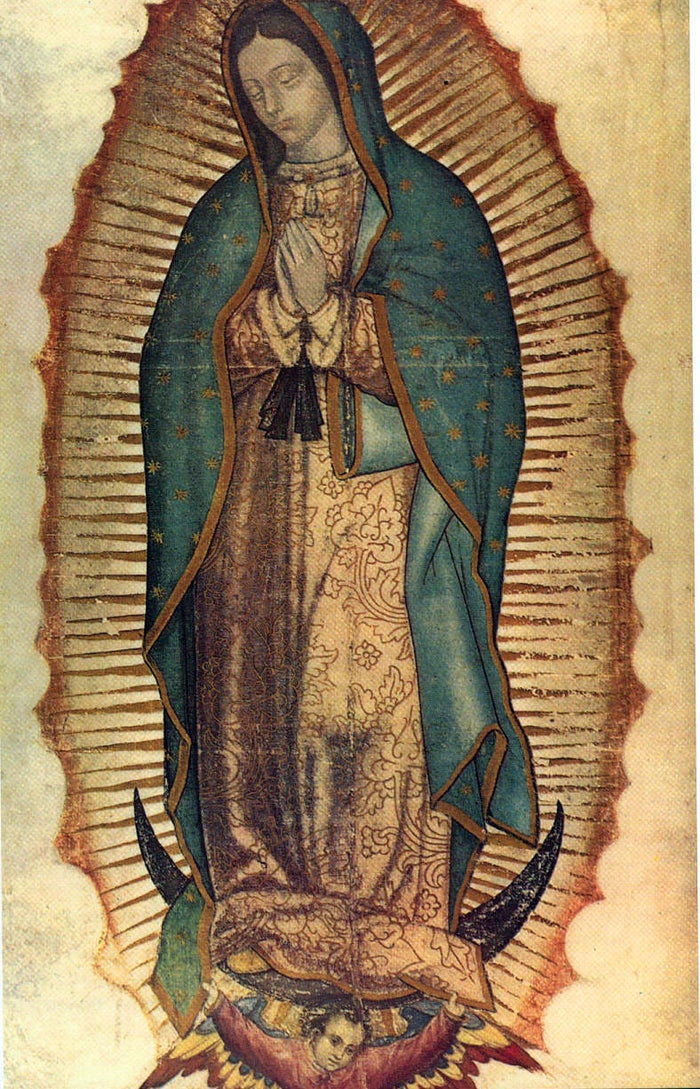 The image of Our Lady of Guadalupe: hands joined in prayer, blue starry mantle, sunburst rays, crescent moon and angel beneath.